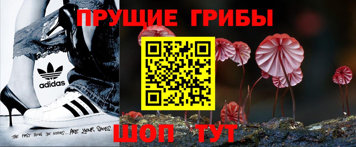 Галлюциногенные грибы Psilocybine cubensis Фурманов