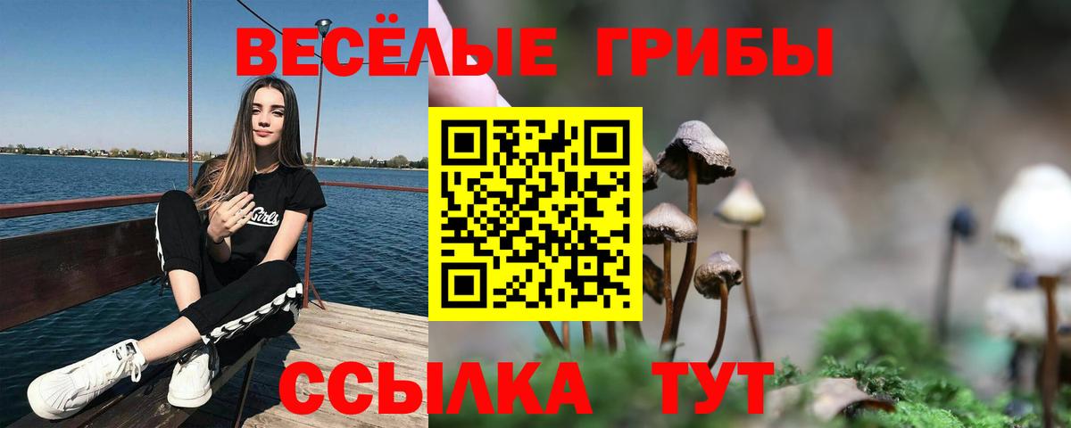 Псилоцибиновые грибы мухоморы  Вход с VPN  Фурманов 